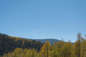 20201020FallColors2020143.jpg